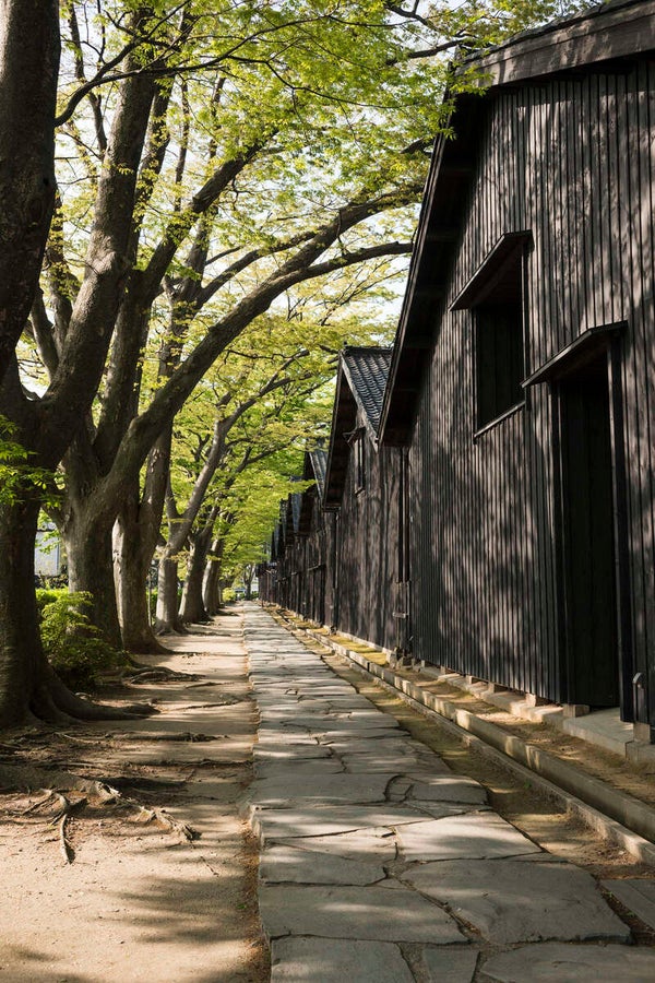 【東京駅・上野駅・大宮駅・宇都宮駅発】 まるごと山形県ぐるり大周遊3日間3
